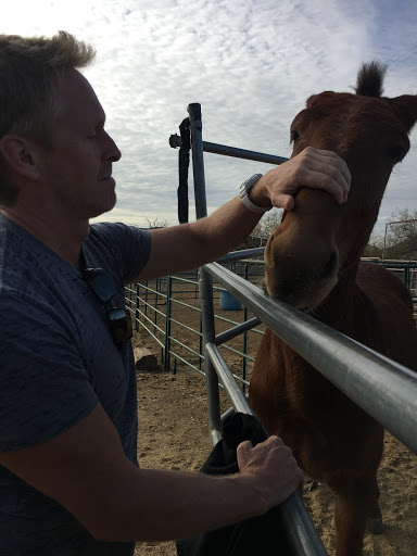 Horseback Riding Service «Spur Cross Stables», reviews and photos, 44029 N Spur Cross Rd, Cave Creek, AZ 85331, USA