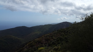 Photo n°11 de Websee - E-Port à Sari-Solenzara ()