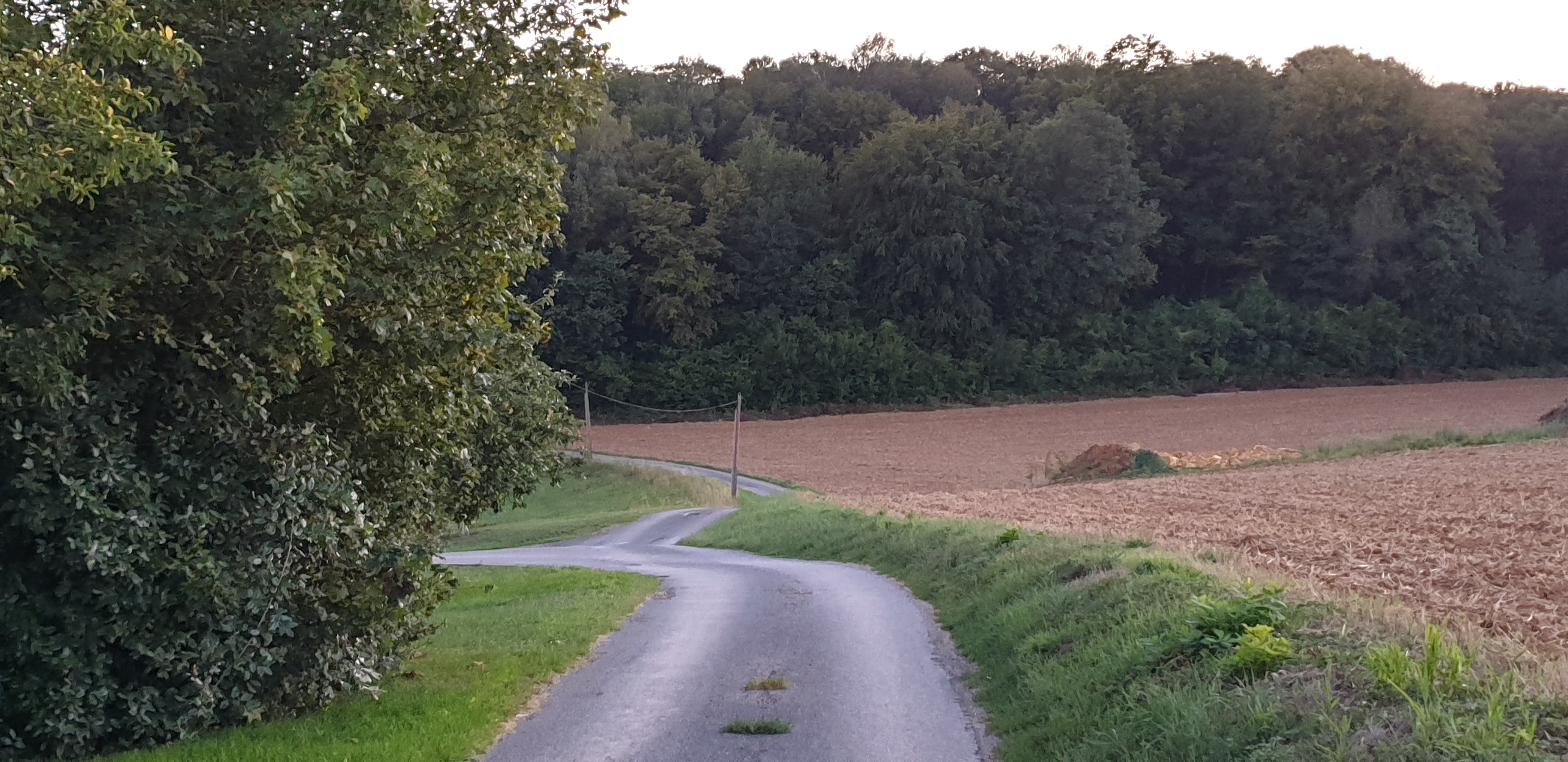 Photo n° 11 de l'avis de Gilles. fait le 28/08/2019 à 13:03