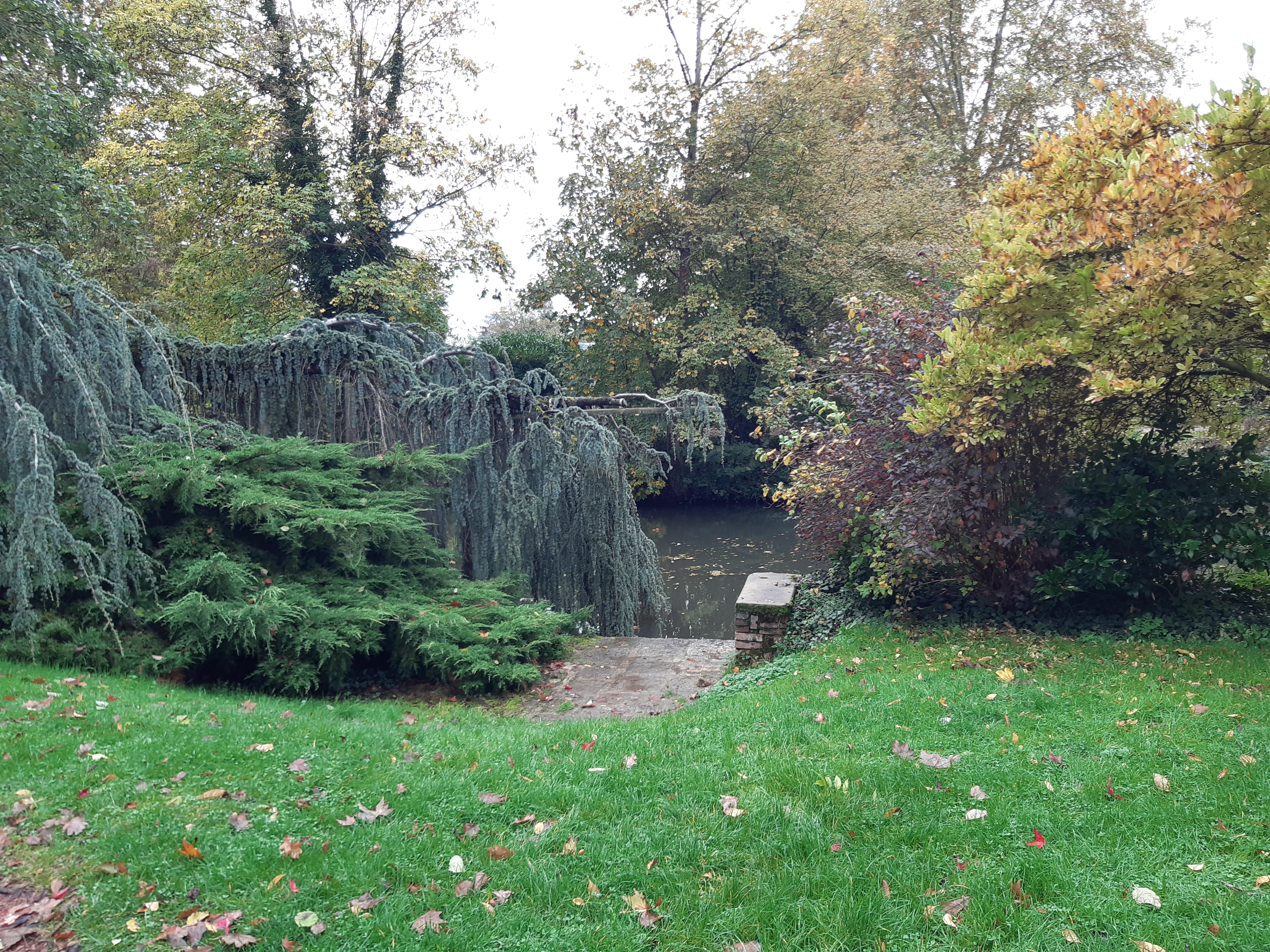 Photo n° 6 de l'avis de Alexis.u fait le 24/11/2019 à 17:35