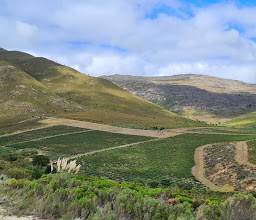 Spookfontein Wines & Tastings photo