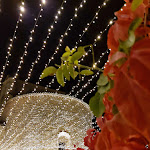 Photo n°6 de l'avis de monia.a fait le 24/10/2021 à 14:58 sur le  La Chiesa Tonda à Capitan Loreto