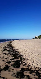 Photo n°156 de Club Plage Pereire à Arcachon ()