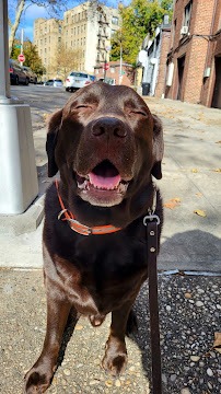 1528 Paw st. - Photo 2 - Car repair in Briarwood, NY, Queens