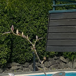 Photo n°22 de l'avis de Silvia. fait le 11/05/2022 à 13:46 sur le  Sporthotel Zum Hohen Eimberg à Willingen