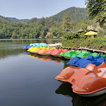 Photo n°2 de l'avis de Martina.r fait le 06/08/2023 à 08:40 sur le  Restaurant Bergsee à Bad Säckingen