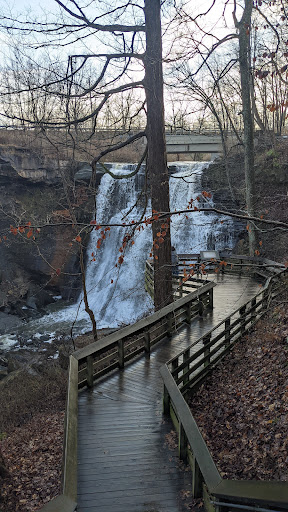 Tourist Attraction «Brandywine Gorge Trail», reviews and photos, 8176 Brandywine Rd, Sagamore Hills, OH 44067, USA
