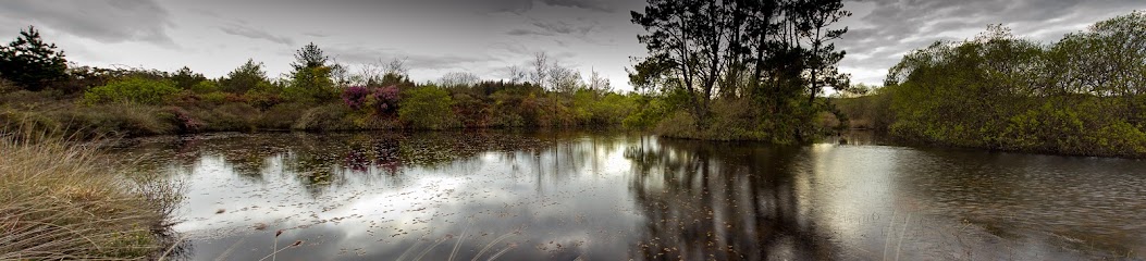 lago – Lagoa de Alcaián – Allariz