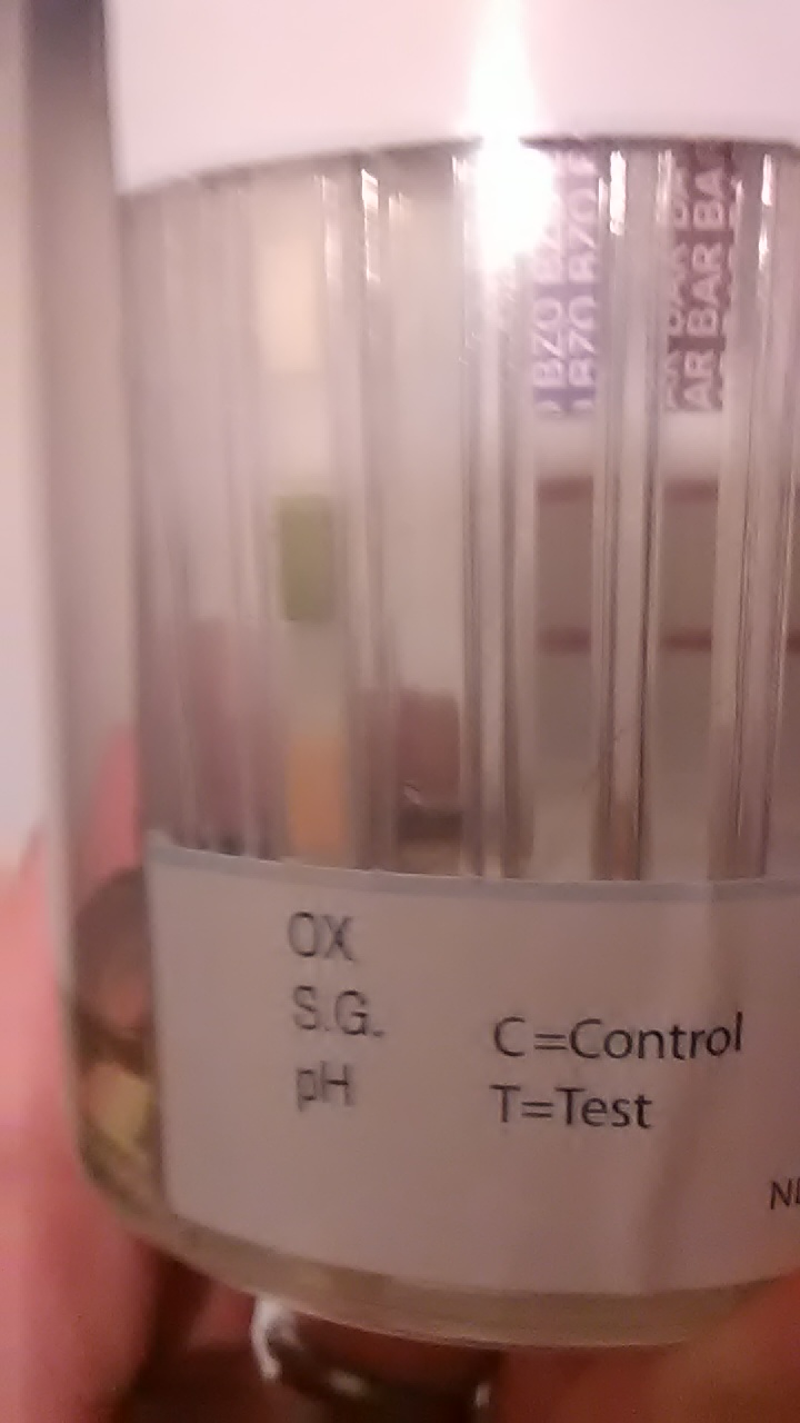 East Main Auto Sales