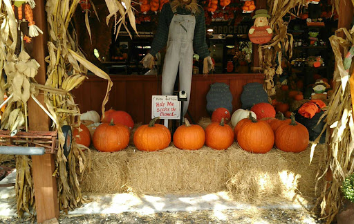 Event Venue «Club Lake Plantation Wedding Venue», reviews and photos, 3403 Rock Springs Rd, Apopka, FL 32712, USA