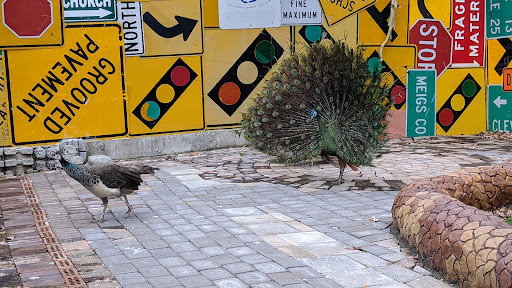 Pet Store «Ponds & Plants», reviews and photos