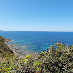 Photo n° 1 de l'avis de Sabrina. fait le 03/08/2022 à 15:16 pour Licciola à Palasca