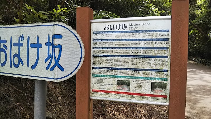 おばけ坂 沖縄県久米島町具志川 観光名所 グルコミ