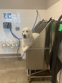 Pet Planet Eastmark - Photo 1 - Car repair in Mesa, AZ, Mesa