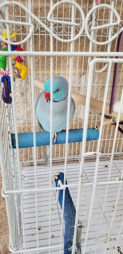 Car Wash «Pirates Cove Car Wash», reviews and photos, 2314 Northpark Dr, Kingwood, TX 77339, USA