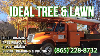 Ideal Tree