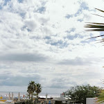 Photo n°4 de l'avis de Carpe.i fait le 12/03/2023 à 20:11 sur le  Hotel Mediterraneo à Riccione