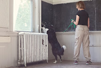 Bed Bug Detection K9s - Photo 6 - Car repair in Inman, SC, Spartanburg