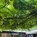 Photo n°1 de l'avis de Leon.F fait le 05/08/2021 à 16:41 sur le  Pizzeria, Bar, Trattoria, All'Ancora à Lazise