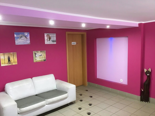 Gabinet Weterynaryjny "Arka" - Weterynarz Klaudia Jabłońska vel Błońska - Weterynarz