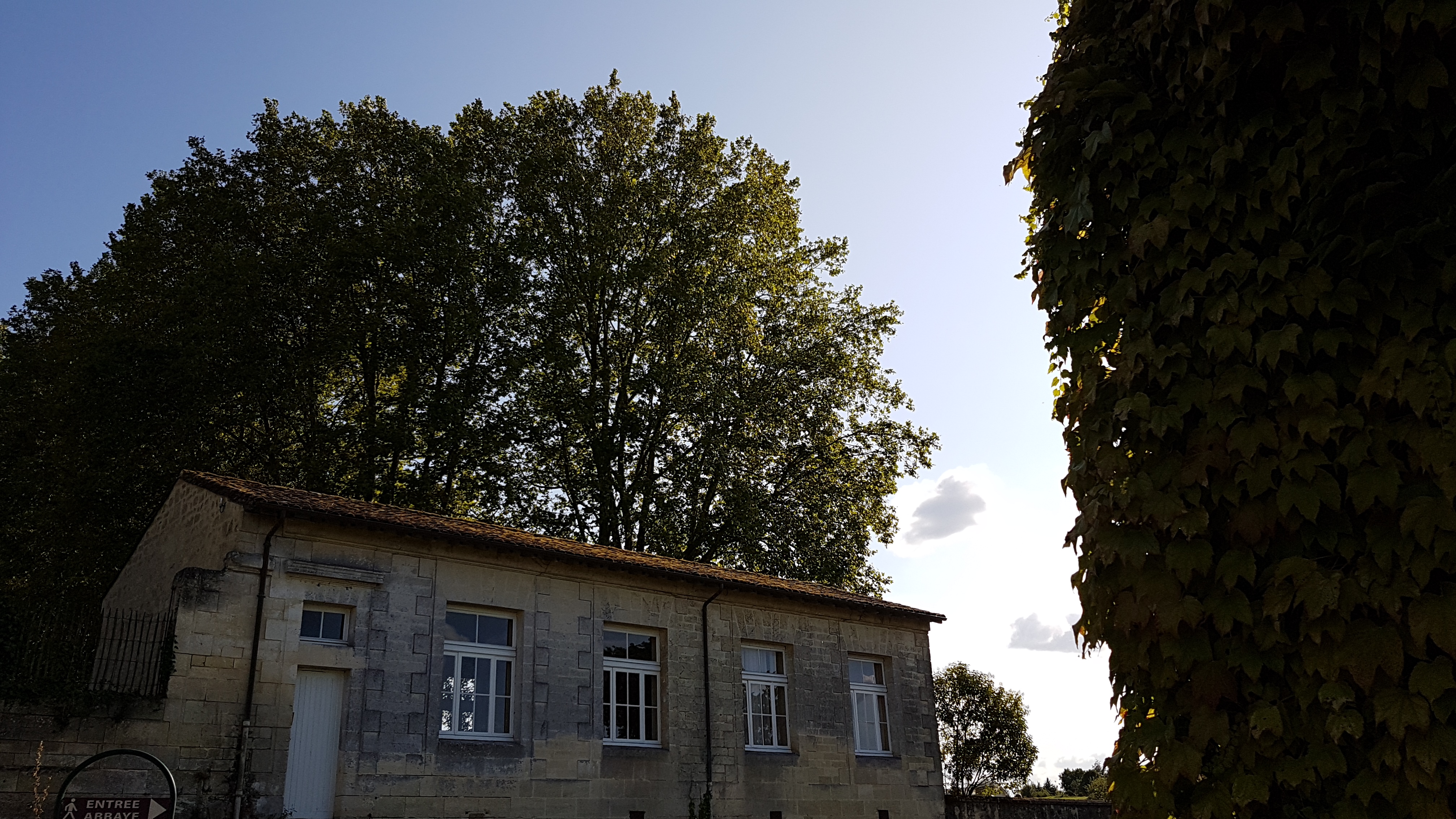 Photo n° 15 de l'avis de Gui.9 fait le 21/08/2019 à 07:36