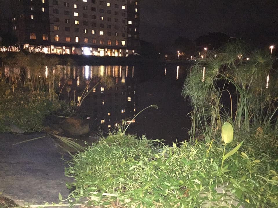 The lake alongside Nuvali Boulevard