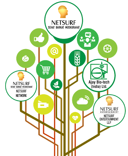 Netsurf Network Point