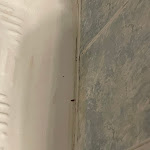 Photo n°2 de l'avis de A.S fait le 02/04/2024 à 09:48 sur le  Hotel Minerva Sas Di Vassalli Giovanni & C. à Milan