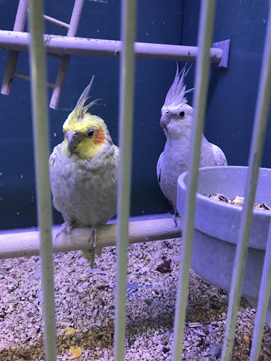 Pet Supply Store «Atlas Pet Supply», reviews and photos, 1798 Market Dr, Stillwater, MN 55082, USA