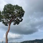 Photo n°1 de l'avis de Vanessa.u fait le 08/06/2023 à 21:22 sur le  Hilton Sorrento Palace à Sorrento