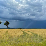 Photo n°2 de l'avis de Mario.r fait le 02/01/2022 à 18:04 sur le  Waldhotel Kreuztanne à Sayda