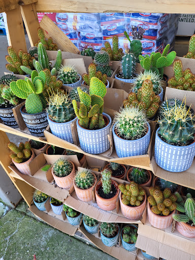 Department Store «Walmart Supercenter», reviews and photos, 2251 IN-54, Linton, IN 47441, USA