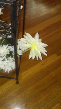 Eco Advantage Pest Control Columbia - Photo 2 - Car repair in Columbia, MO, Columbia