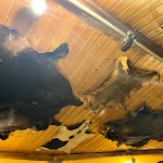 Photo n°12 de l'avis de Nick. fait le 10/02/2020 à 12:57 sur le  Zur Altstadt Bochum à Bochum