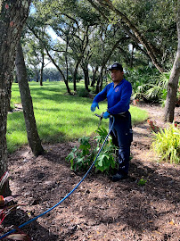 Your Days Without Pests - Photo 7 - Car repair in Lehigh Acres, FL, Lehigh Acres