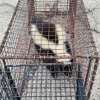 Prairie State Wildlife - Photo 3 - Car repair in , Aurora