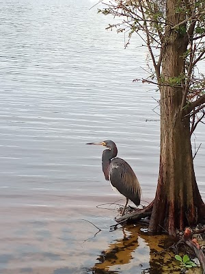 Lake Monroe Wayside Park - photo 72