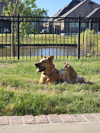 Backyard Paws & Claws LLC - Photo 1 - Car repair in , Lafayette