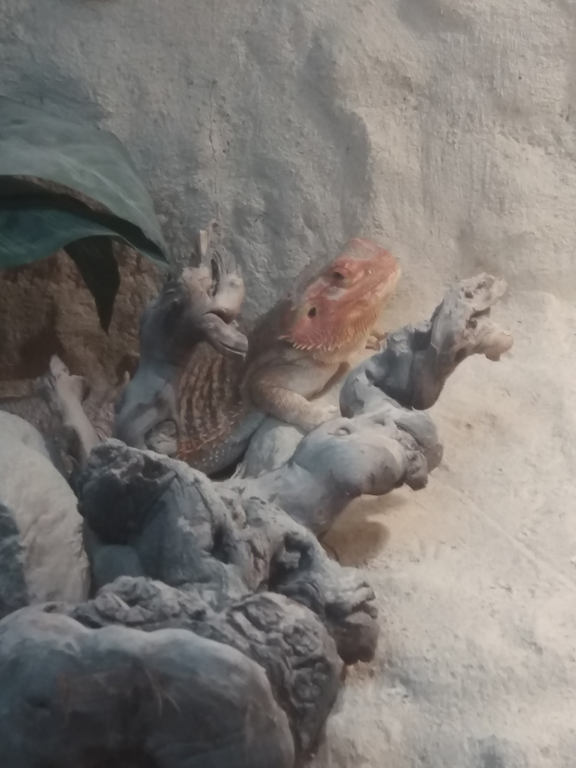 Photo n° 5 de l'avis de Damien.i fait le 21/08/2017 à 19:35