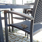 Photo n°2 de l'avis de Jacky. fait le 11/08/2019 à 09:20 sur le  Max Altstadt à Dresden