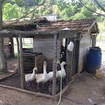 Photo n°4 de l'avis de Valeria.i fait le 04/04/2018 à 21:10 sur le  Bar Ristorante Grotta Del Romito à Papasidero