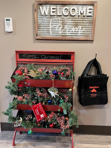 Insurance Agency «Kristy Hayduk - State Farm Insurance Agent», reviews and photos