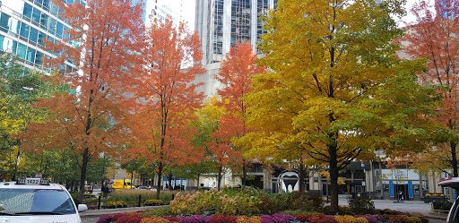 Coffee Shop «Dollop Coffee Co.», reviews and photos, 345 E Ohio St, Chicago, IL 60611, USA