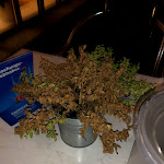 Photo n°1 de l'avis de C..i fait le 24/08/2019 à 10:46 sur le  Mueßer Hof Garni Hotel, Restaurant vorübergehend geschlossen à Schwerin