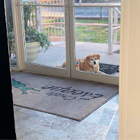 Crate Escape - Photo 9 - Car repair in Belmont, MA, Cambridge