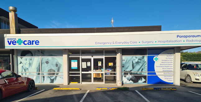 Animates Vetcare Clinic Paraparaumu - Paraparaumu