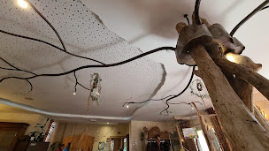 Photo n°38 de Le Bois Flotté à Weinbourg ()