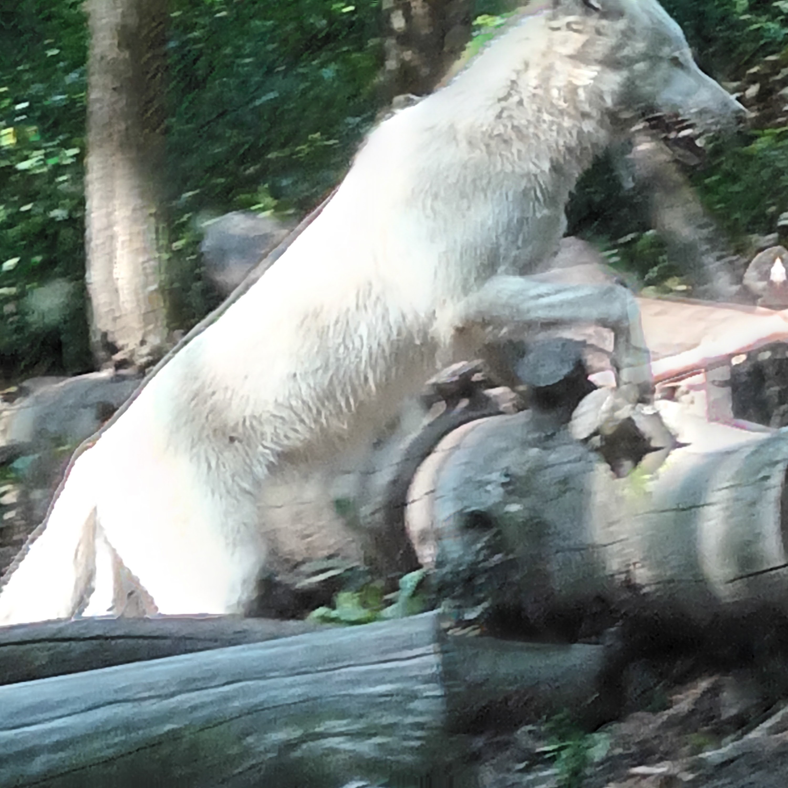 Photo n° 10 de l'avis de Jean.u fait le 20/07/2023 à 15:55