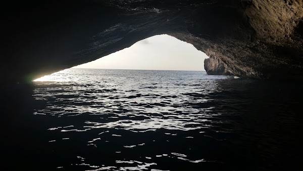 Imagen de Marcabrera Excursiones en barco a Cabrera  Cabrera Sea Fun S.L. (10 de 25)