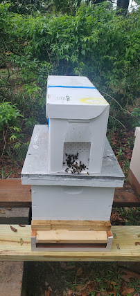 Pensacola Honey Bee - Photo 3 - Car repair in Pensacola, FL, Pensacola